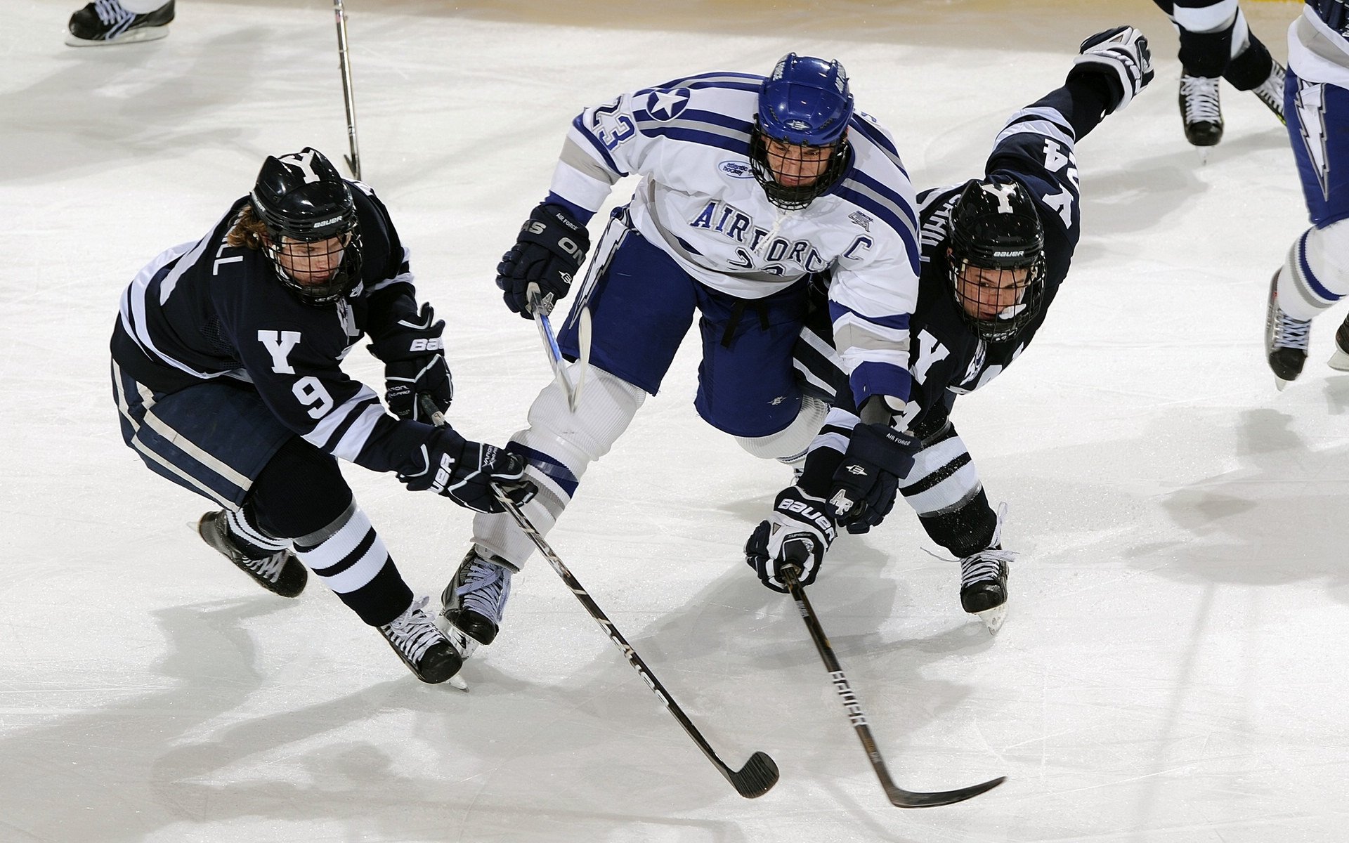 360度全景直播:身临其境的F1盛宴,360度 全景